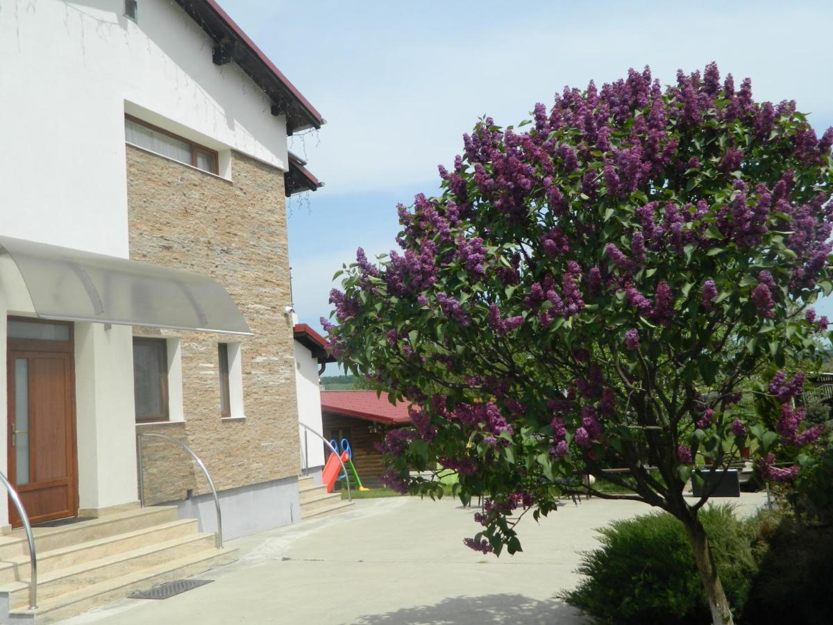 Hotel Mirana-Marginimea Sibiului Cristian  Exteriér fotografie